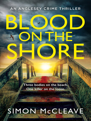 cover image of Blood on the Shore